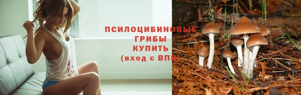 стафф Дмитров
