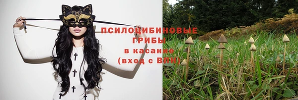 MDMA Premium VHQ Дмитровск
